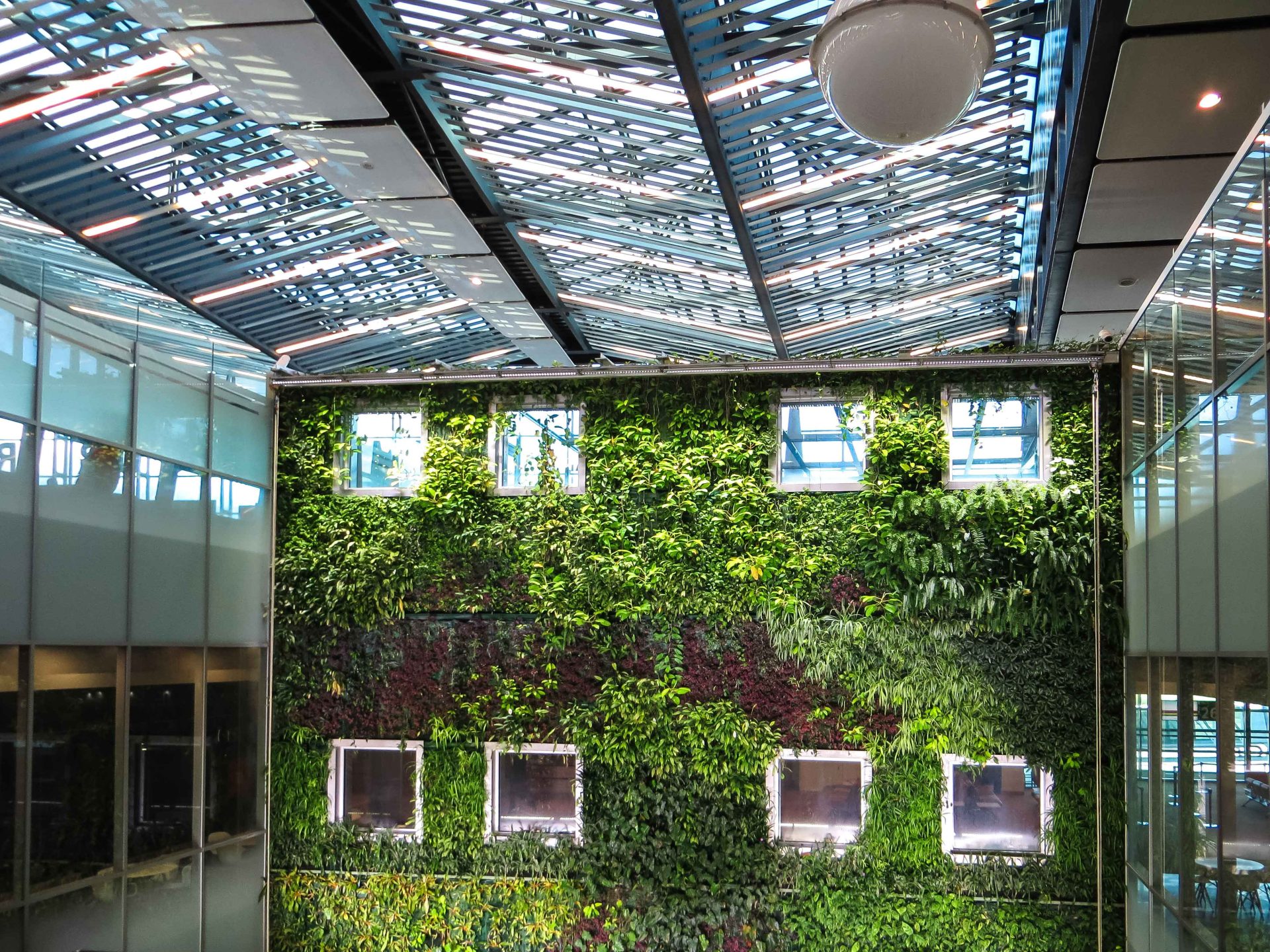 Green Roofs And Living Walls