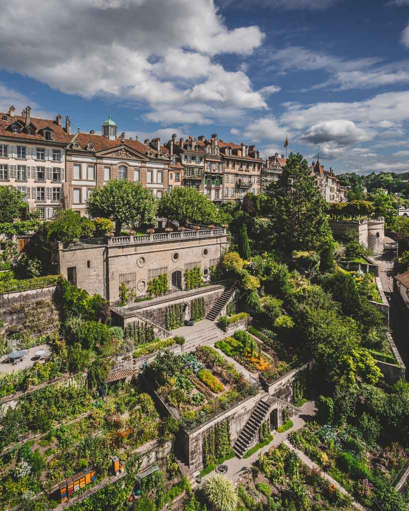 Green Roofs and Living Walls